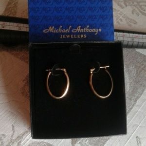 Hoops earrings 10k gold
